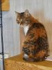Cleo (2)